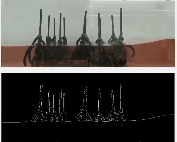 Digital Twin